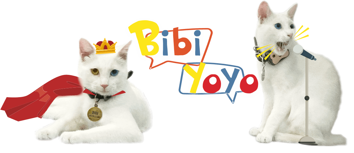 bibi&yoyo